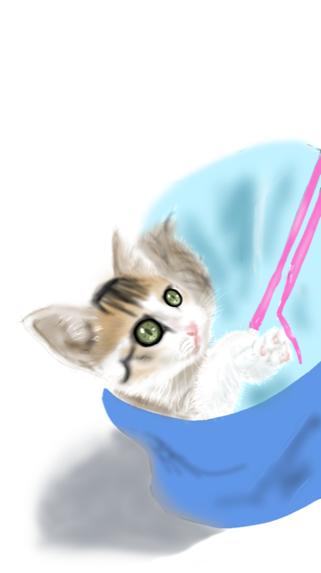 子猫 イラストスキルアップ 楽しみながら上達を目指すお絵描きブログ 楽天ブログ