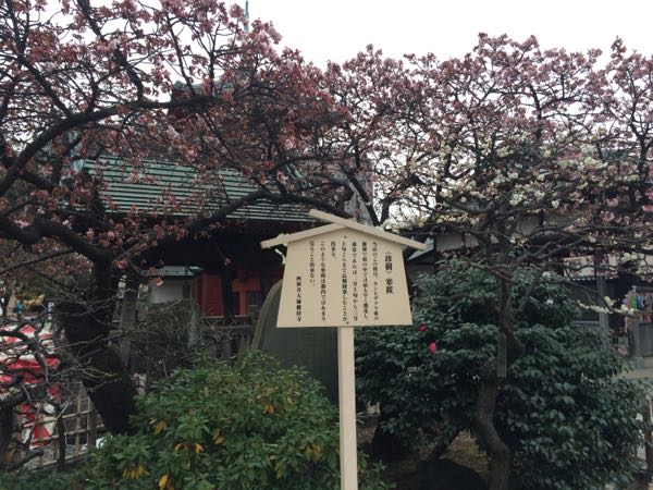rblog-20160123192513-02.jpg