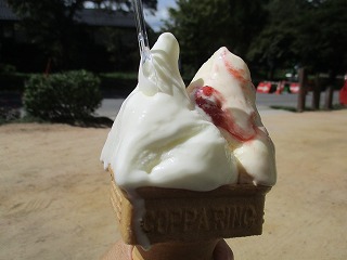 IMG_8269ss.jpg