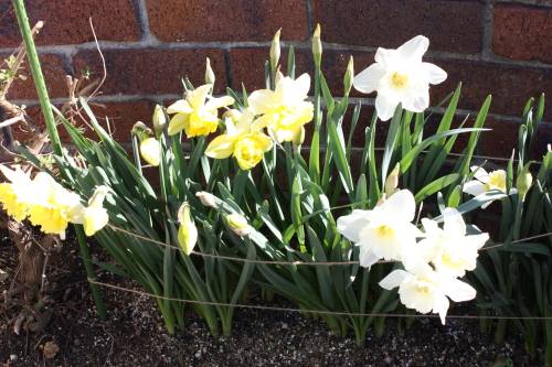 2015032903.JPG