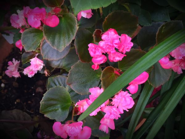 rblog-20160725203748-01.jpg