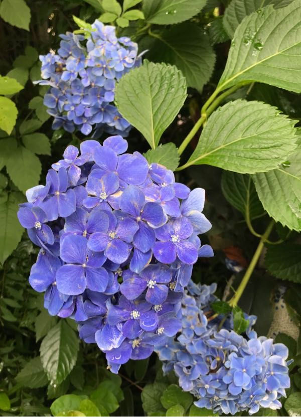 rblog-20180624175900-07.jpg
