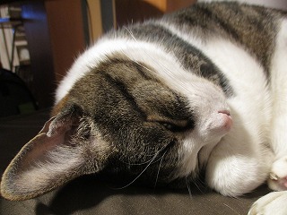 IMG_3953ss.jpg