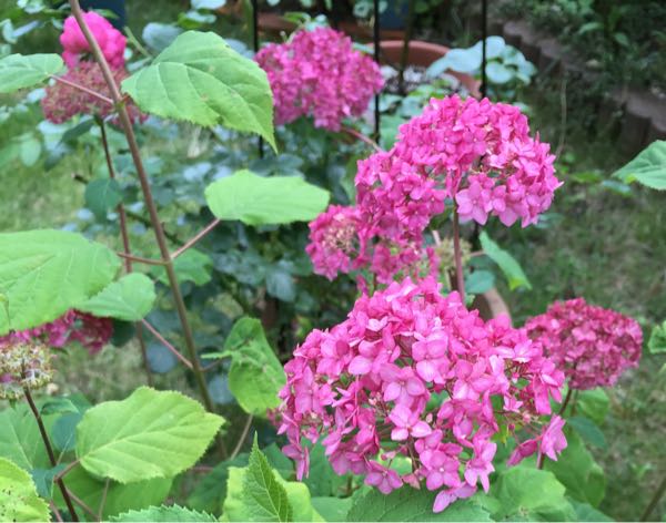 rblog-20160609235227-02.jpg