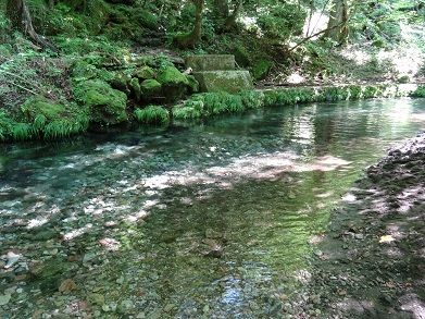 男池からの平治岳登山！ | 酔いどれ日記（夢に向かって） - 楽天ブログ