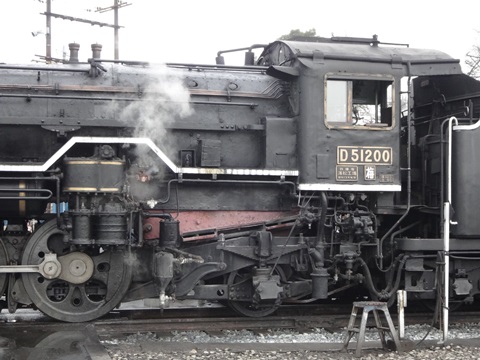DSC00321.JPG