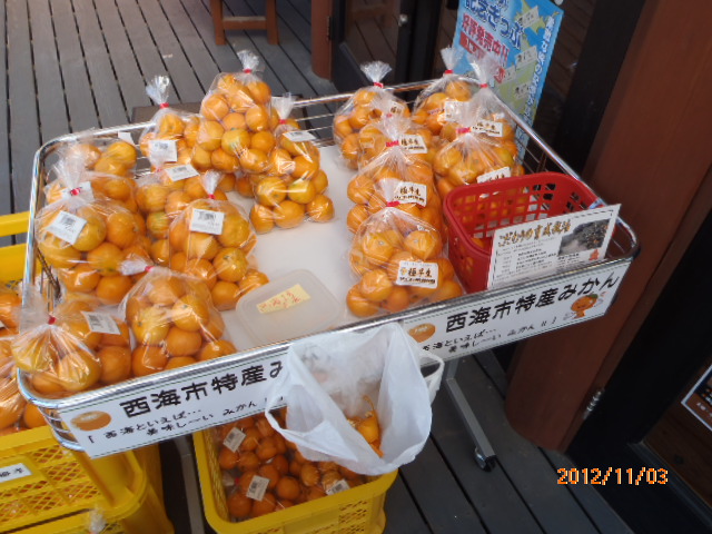 PB030581.JPG