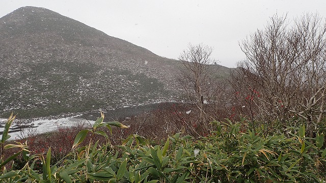 PA221558　11：56下りになる.jpg