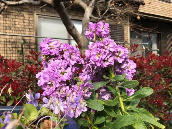 rblog-20190401163710-07.jpg