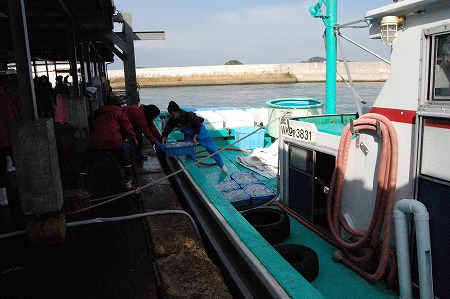 s-DSC_0439.jpg