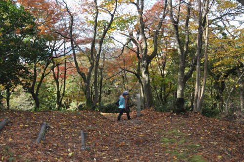 寺家公園