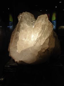 CIMG0566.JPG
