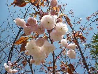 P1170566ss.jpg