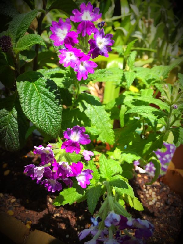 rblog-20150531144126-04.jpg
