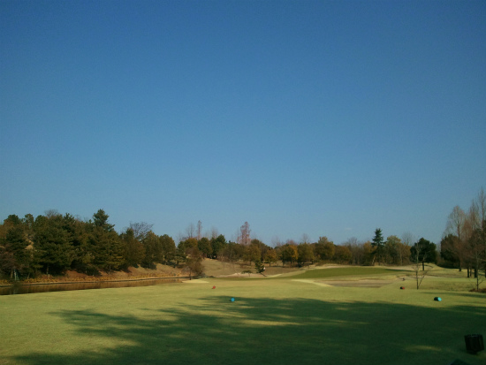 2012-03-14_14.50.58.jpg