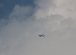 IMG_6220-2.jpg