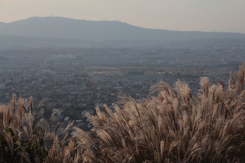 若草山_4.jpg