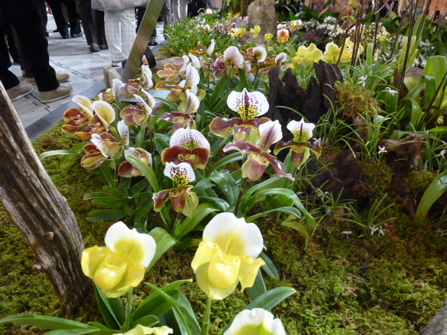657