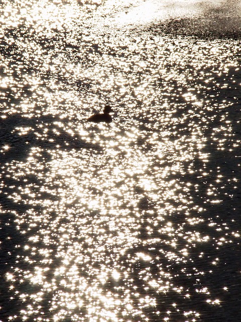 s-p3033.jpg