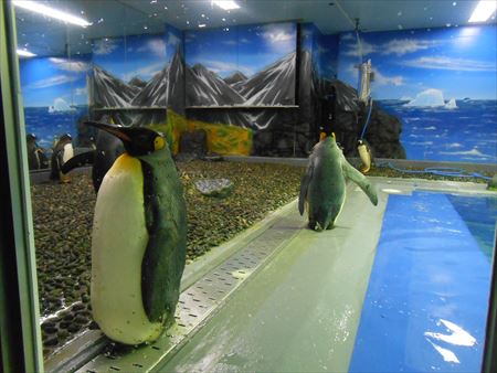 越前松島水族館