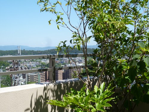 １ヤマガラ全体下１500.jpg