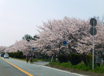 P1030450.JPG