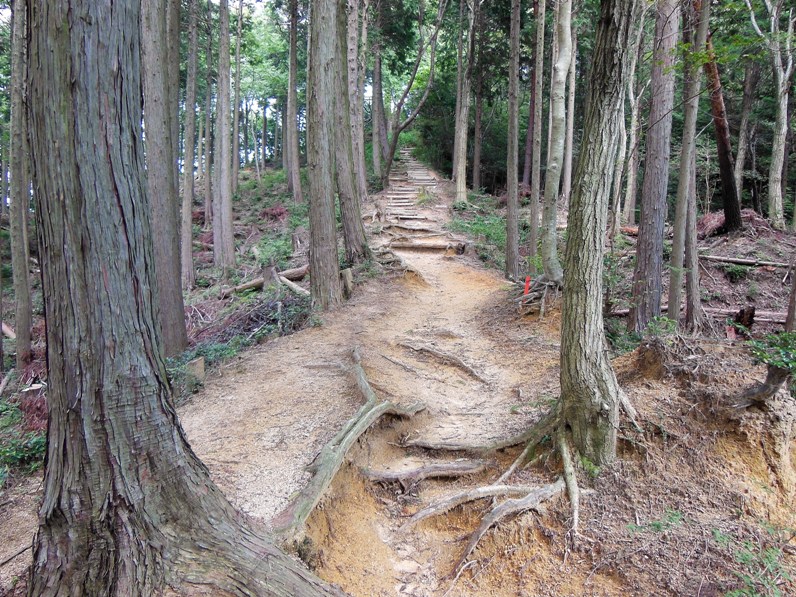 山道