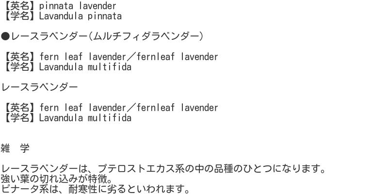 lavender6