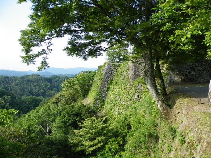 九州北東２h12岡城跡.JPG