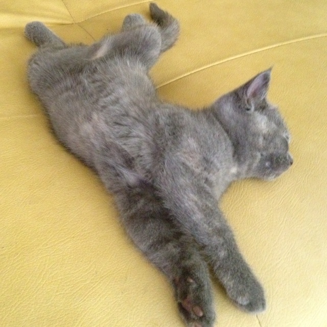 rblog-20130903161433-01.jpg