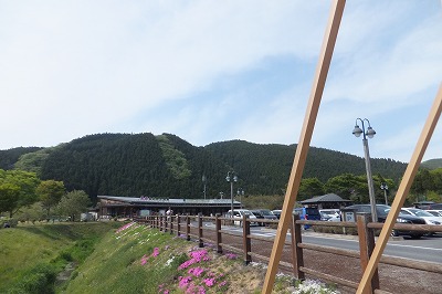 DSCF3426.jpg