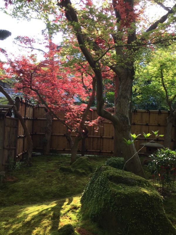 rblog-20180411114815-01.jpg