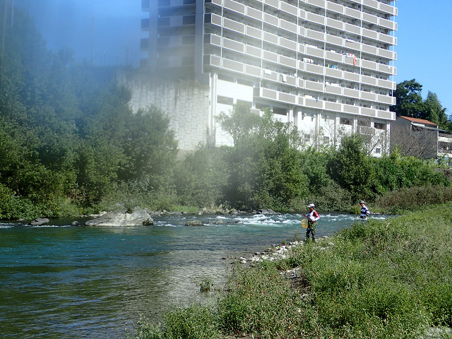 resize0004.jpg