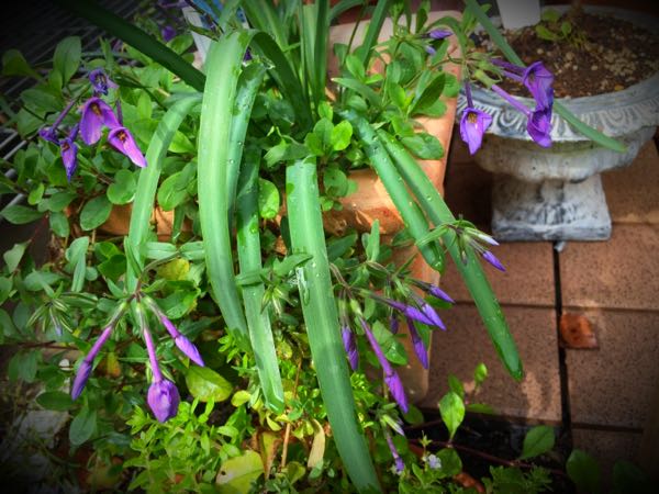 rblog-20160426005035-04.jpg