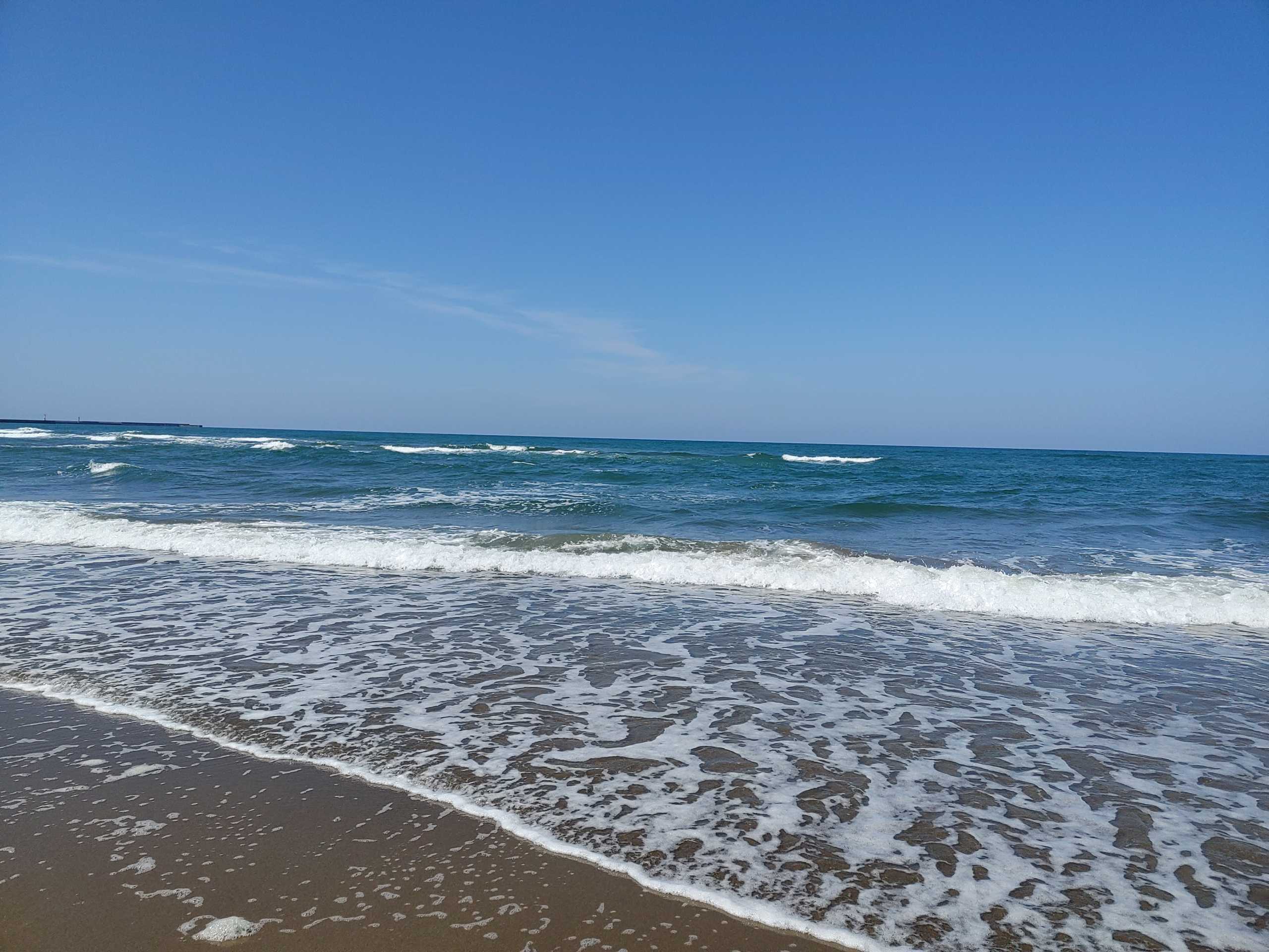 新着記事一覧 徒然ブログ ハニワみたいに落ち着いてます 楽天ブログ