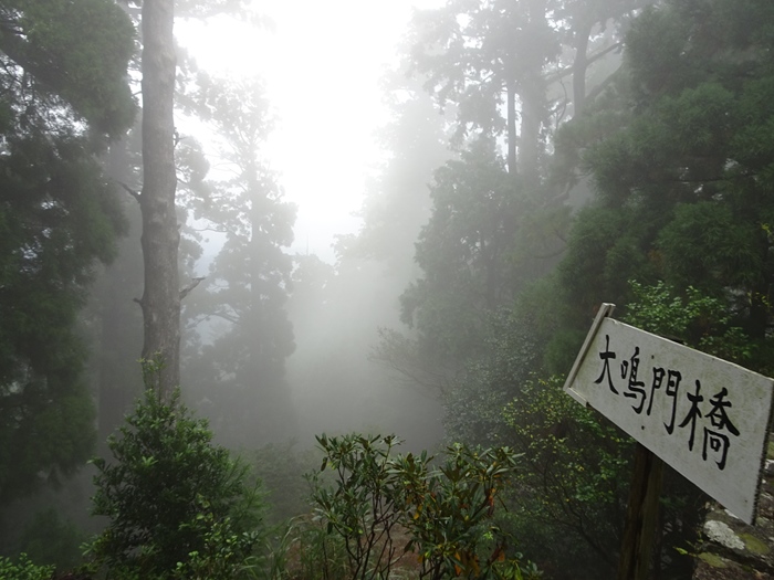 DSC02673_R.JPG