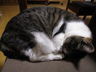 IMG_0581ss.jpg