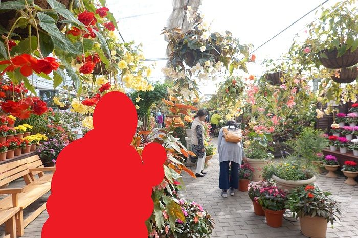 九重花公園へ行ったよ。② 九重連山を後ろに花が素晴らしかった | げんそうてきなの旅行と花:一部栽培している野菜とパッチワーク - 楽天ブログ