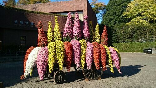 rblog-20171113175553-02.jpg