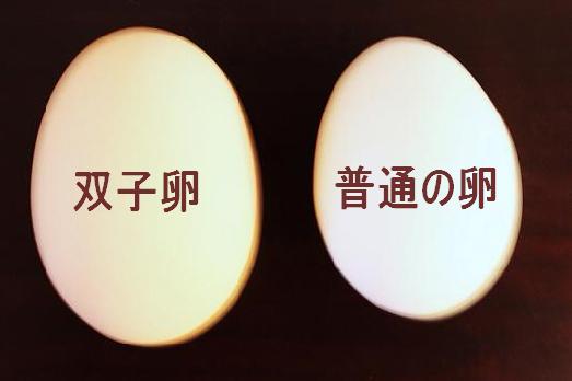 双子卵.jpg