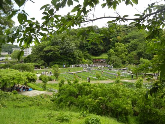 DSCN7268.JPG
