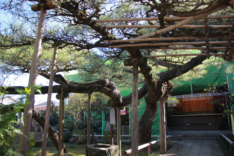 IMG_2292ブログ.JPG