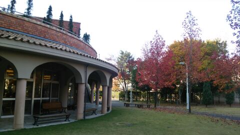 rblog-20141124095348-01.jpg