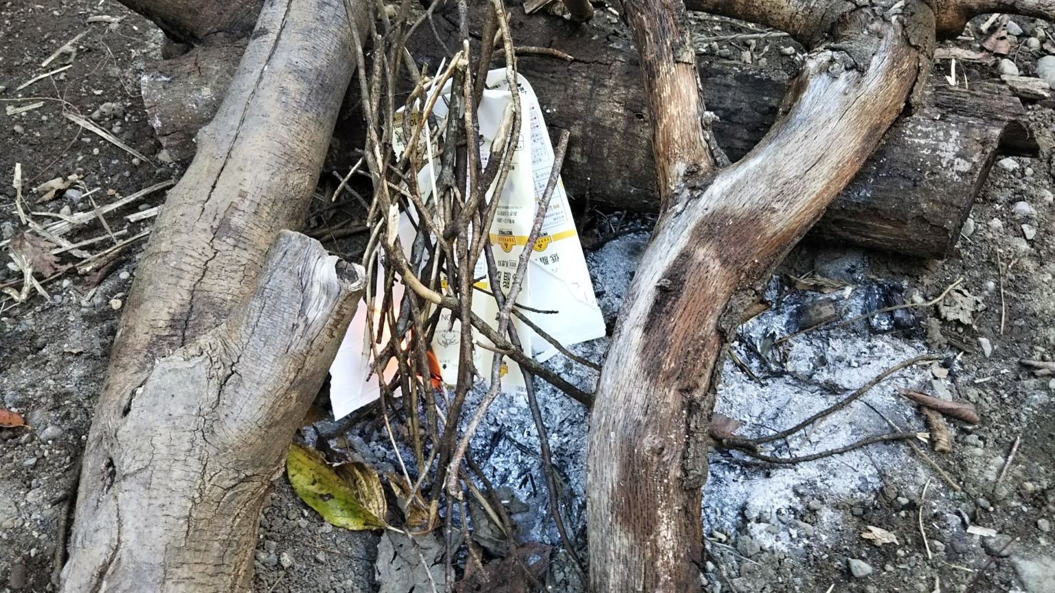 5ページ目の記事一覧 みみずの部屋 楽天ブログ