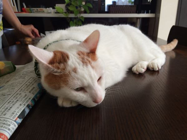 rblog-20150816091821-00.jpg