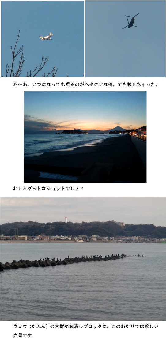 2013.02.09-4.jpg