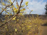 IMG_4952_R.JPG