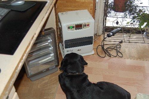 DSC_0101.JPG