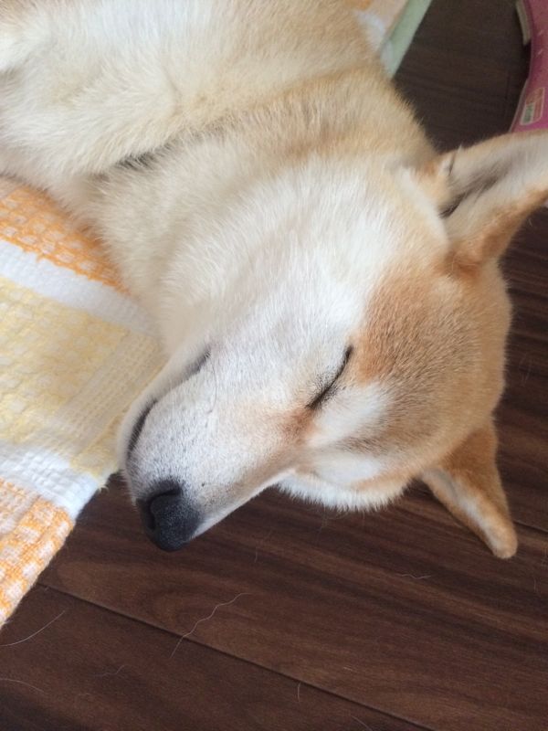 rblog-20140708162923-00.jpg
