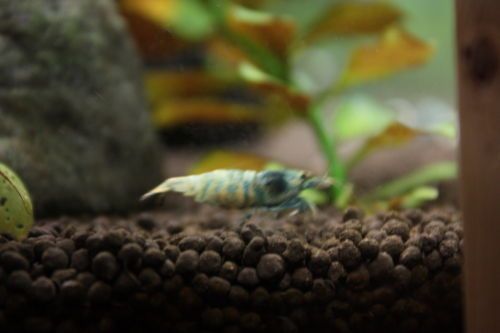 2015052503.jpg